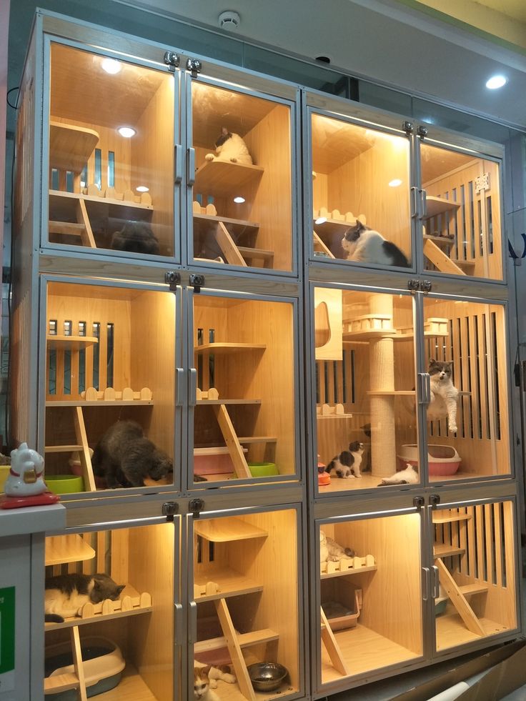 Flavour so good you’ll try to eat with your eyes.